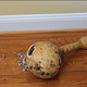 Image for article titled What Horrible Things Did We Do To Our Penises Last Year?